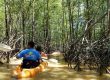 mangrove kayak tour manuel antonio costa rica
