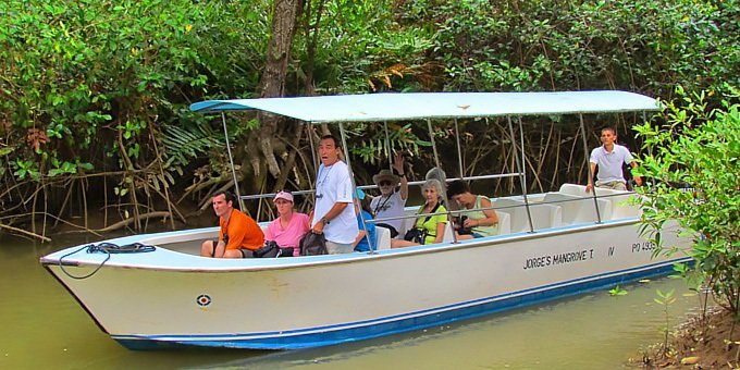 damas island mangrove boat tour half day