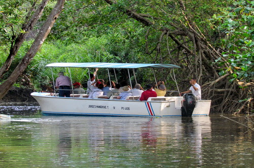 damas island mangrove boat tour costa rica