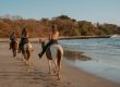 horseback riding tamarindo costa rica