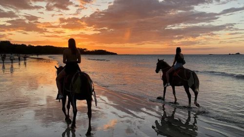 tamarindo beach horseback riding tours